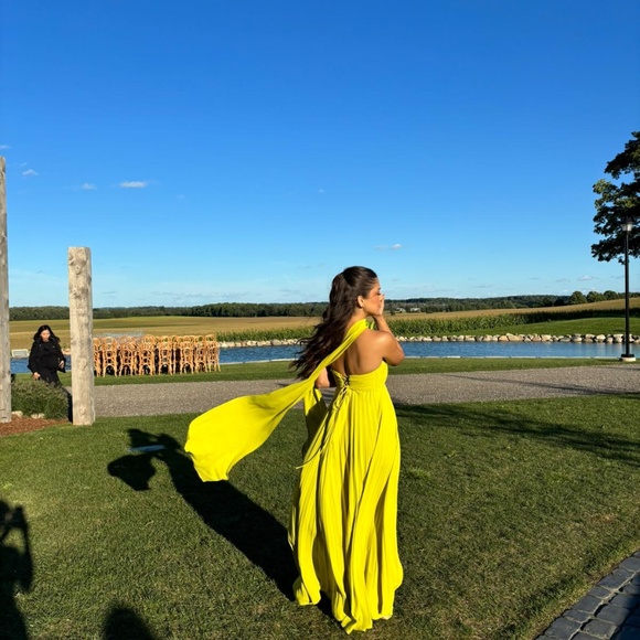 Brand new Delfi Collective Daphne Dress - Picture 3 of 4